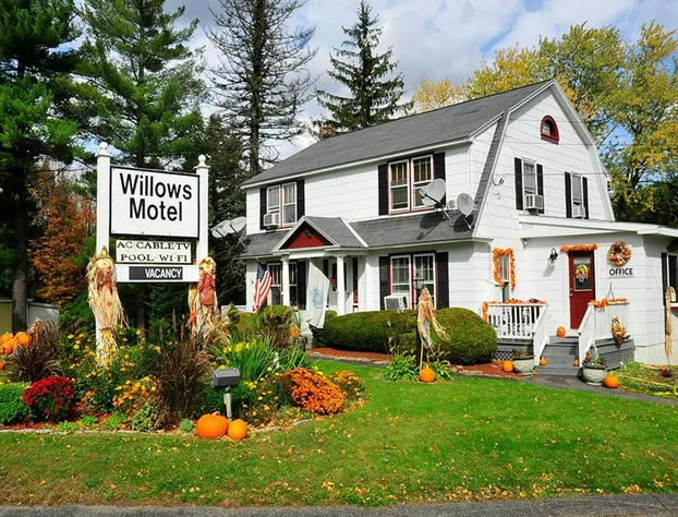 Willows Motel Williamstown hotel detail image 1