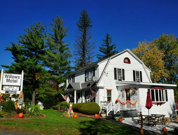 Willows Motel Williamstown hotel detail image 4