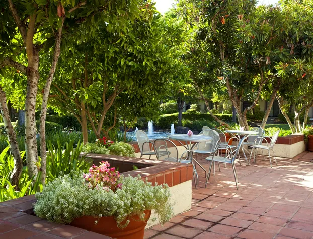 Four Points by Sheraton Pleasanton hotel detail image 3