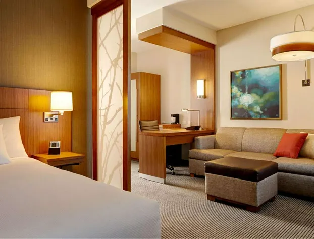 Hyatt Place Detroit/Novi hotel detail image 3