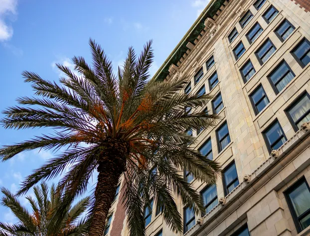 The Saint Hotel, New Orleans, French Quarter hotel detail image 3