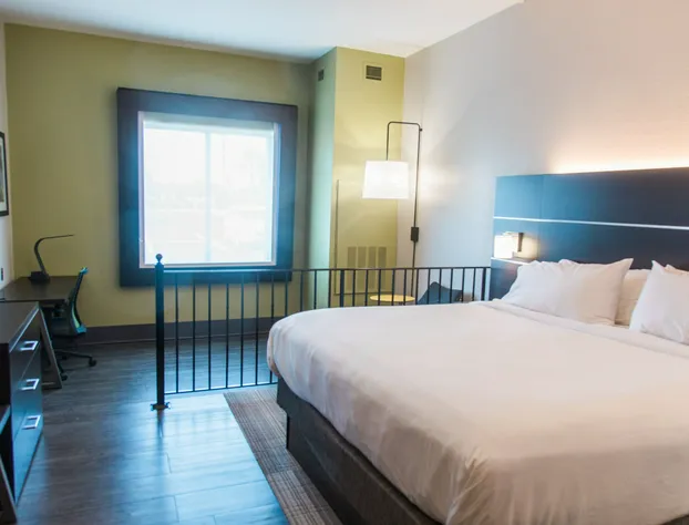 Holiday Inn Express & Suites Columbia-Fort Jackson by IHG hotel detail image 4