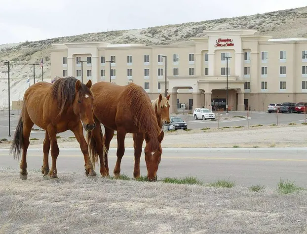Hampton Inn & Suites Green River hotel detail image 2