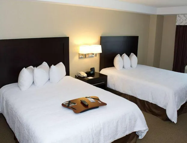 Hampton Inn & Suites Boston Crosstown Center hotel detail image 4