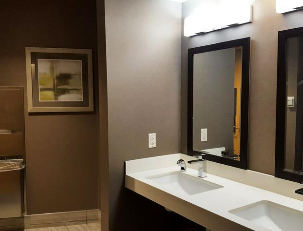 Hampton Inn & Suites Boston Crosstown Center hotel detail image 2
