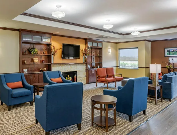 Comfort Inn & Suites Navasota hotel detail image 3