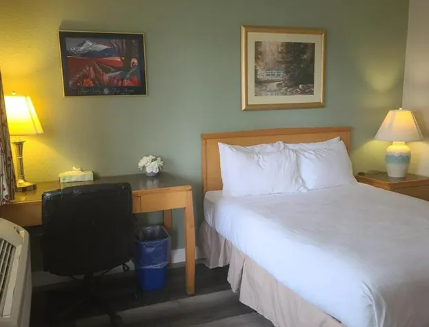 Tulip Inn hotel detail image 1