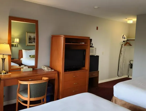 Tulip Inn hotel detail image 3