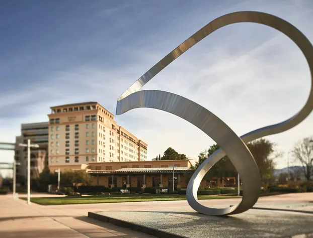 Juniper Hotel Cupertino, Curio Collection by Hilton hotel detail image 3