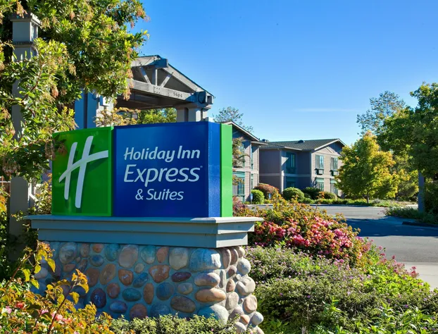 Holiday Inn Express & Suites Carpinteria by IHG hotel detail image 3