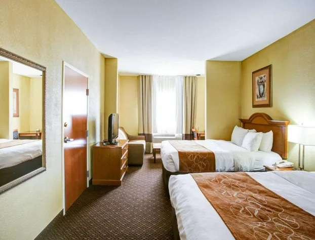 Comfort Suites Brenham hotel detail image 3