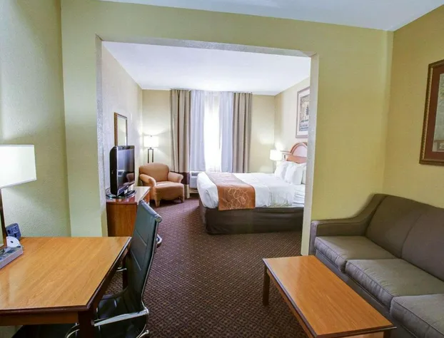 Comfort Suites Brenham hotel detail image 4