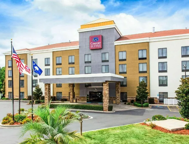 Comfort Suites Clinton near Presbyterian College hotel detail image 1