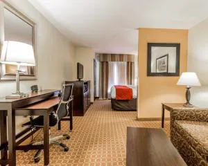 Comfort Suites Clinton near Presbyterian College hotel detail image 2