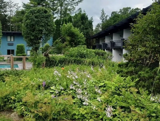 Hotel Vervana, Trademark Collection by Wyndham hotel detail image 1