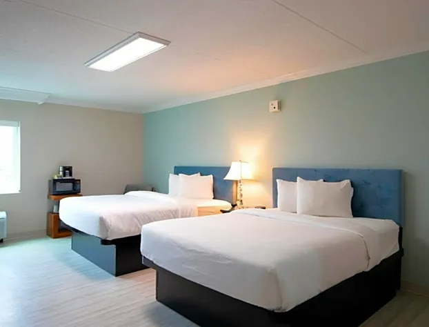 Bella Vista Hotel & Suites hotel detail image 4