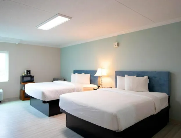 Bella Vista Hotel & Suites hotel detail image 4