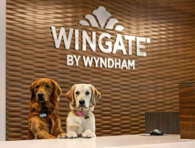 Wingate by Wyndham Lethbridge hotel detail image 2