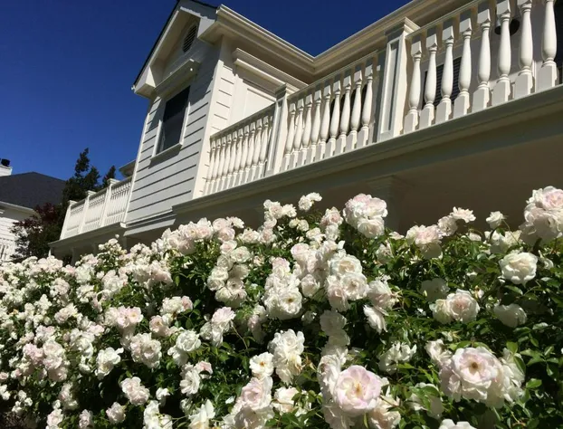 MacArthur Place Hotel & Spa hotel detail image 2