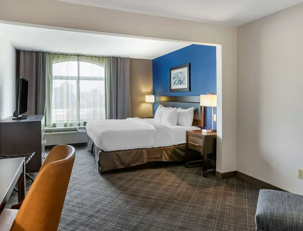 Comfort Inn & Suites Grand Blanc/Flint hotel detail image 4