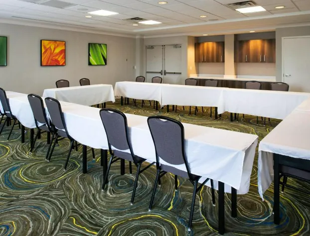 Hilton Garden Inn Baton Rouge Airport hotel detail image 3