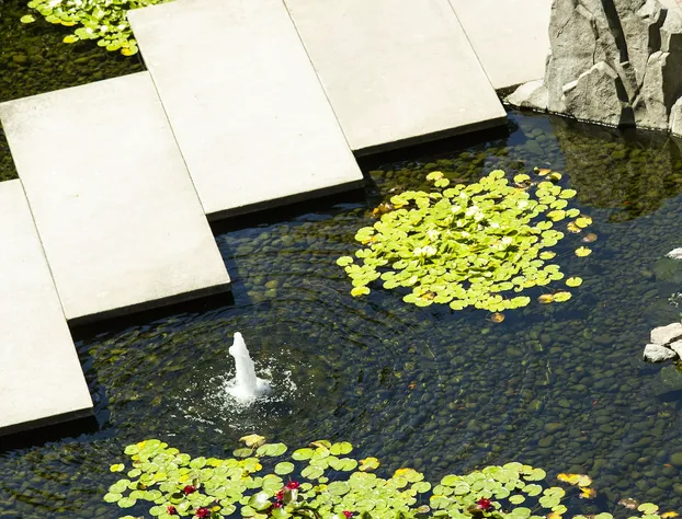 The Parkside Hotel & Spa hotel detail image 4