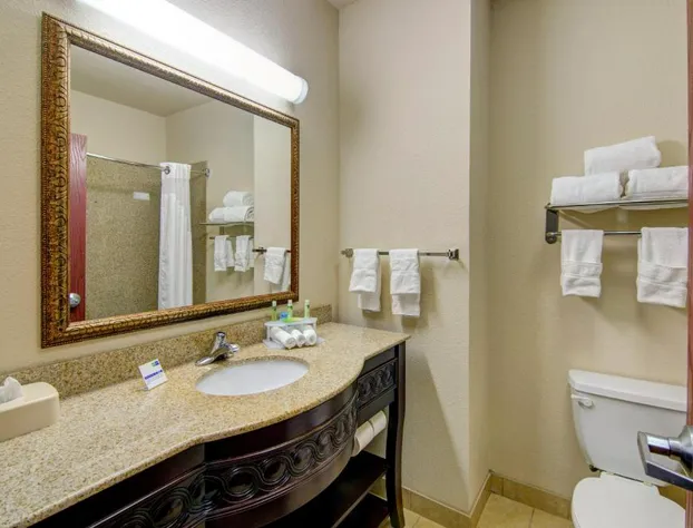Country Inn & Suites by Radisson, Terrell hotel detail image 2