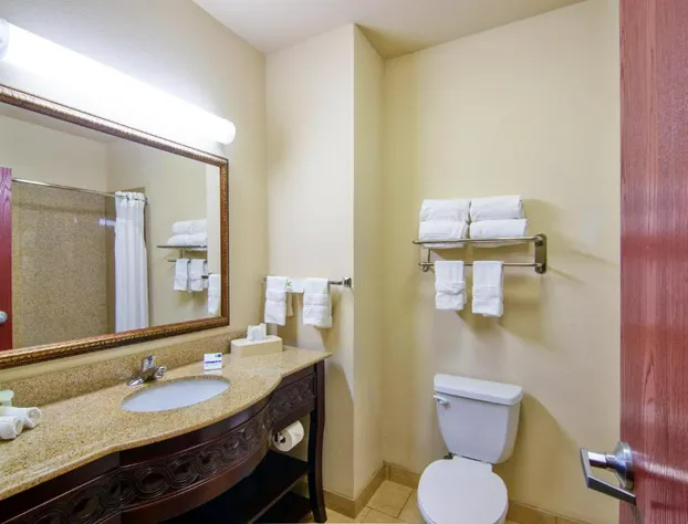 Country Inn & Suites by Radisson, Terrell hotel detail image 3