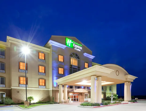 Holiday Inn Express Hotel & Suites Terrell by IHG hotel detail image 1