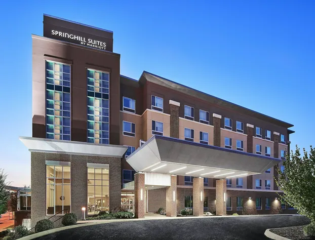 SpringHill Suites by Marriott Roanoke hotel detail image 1