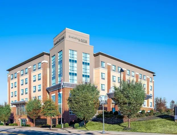 SpringHill Suites by Marriott Roanoke hotel detail image 1