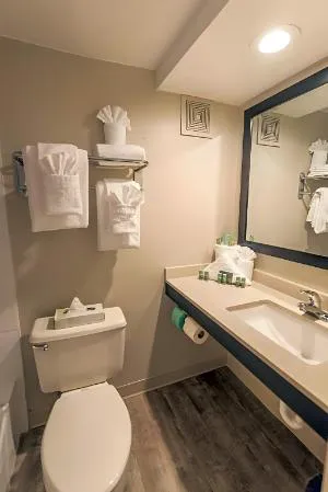 SureStay Plus Hotel by Best Western Lehigh Valley hotel detail image 4