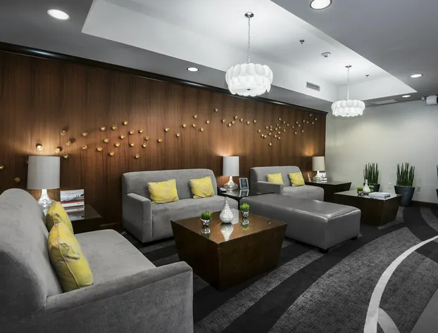 Holiday Inn Express & Suites Conway by IHG hotel detail image 3