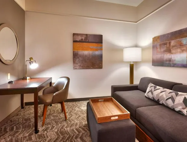 Springhill Suites by Marriott Thatcher hotel detail image 2