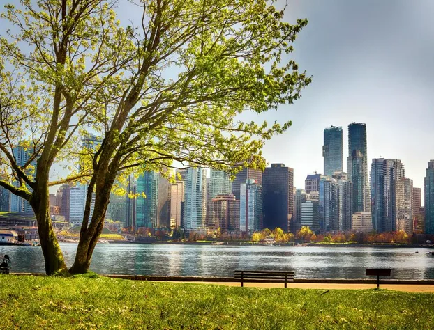 Pinnacle Hotel Harbourfront hotel detail image 4