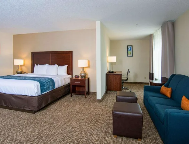 Comfort Inn Naugatuck-Shelton, CT hotel detail image 1