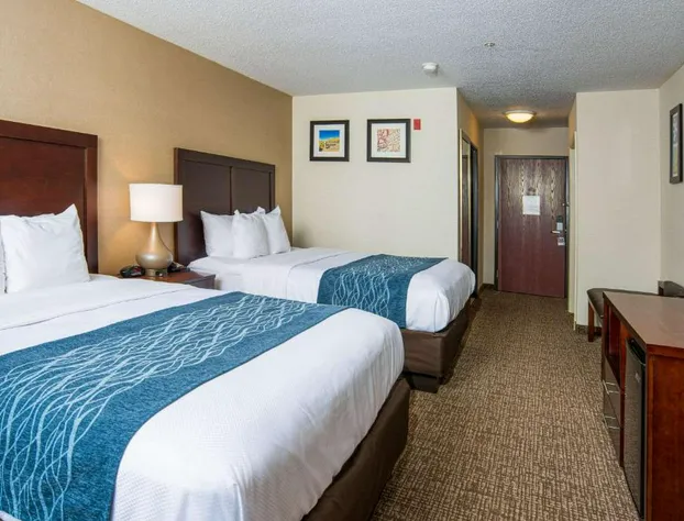 Comfort Inn Naugatuck-Shelton, CT hotel detail image 1