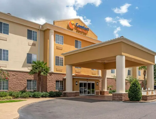 Comfort Suites Alexandria North hotel detail image 2