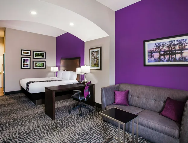 La Quinta Inn & Suites by Wyndham Baton Rouge Denham Springs hotel detail image 4