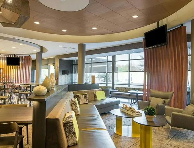 SpringHill Suites by Marriott Tampa North/I 75 Tampa Palms hotel detail image 4