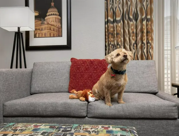 Hampton Inn & Suites Austin @ The University / Capitol hotel detail image 3