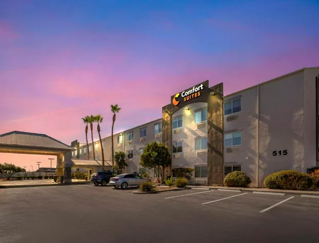 Comfort Suites At Tucson Mall hotel detail image 2
