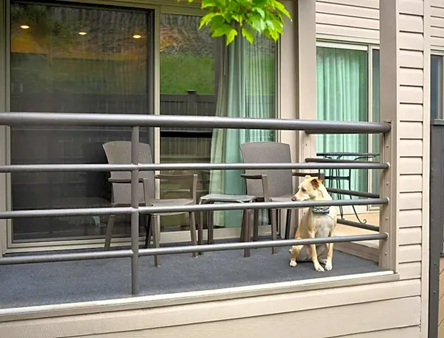 The Christie Lodge - All Suite Property, Vail Valley/Beaver Creek hotel detail image 2