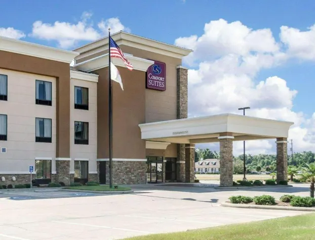 Comfort Suites Greenwood hotel detail image 1