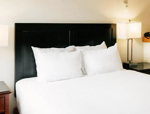 Mountain Side Hotel Whistler by Executive hotel detail image 2