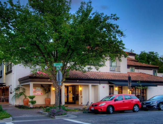 Best Western Plus Palm Court Hotel hotel detail image 1