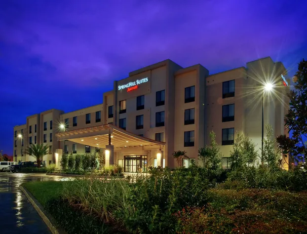 SpringHill Suites by Marriott Baton Rouge North/Airport hotel detail image 3