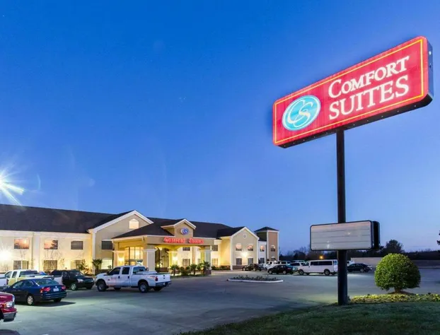Comfort Suites Idabel hotel detail image 3