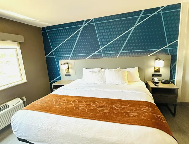 Comfort Suites Terre Haute University Area hotel detail image 2