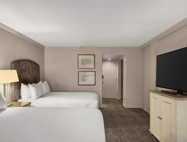 Dauphine Orleans Hotel hotel detail image 3